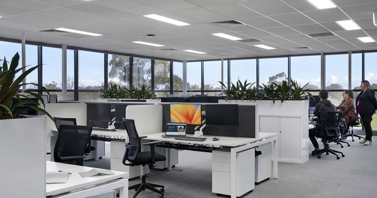How to Cultivate a Lively Open Plan Office That Works for Everyone
